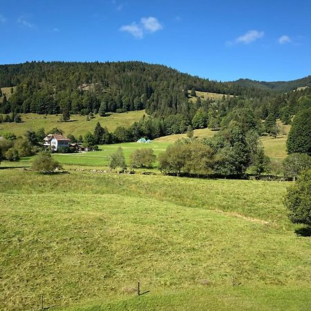 Apartment Schwinbachblick Mit 2 Balkonen St. Blasien Exteriér fotografie