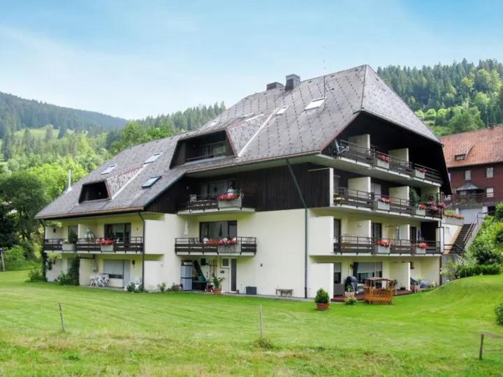 Apartment Schwinbachblick Mit 2 Balkonen St. Blasien Exteriér fotografie