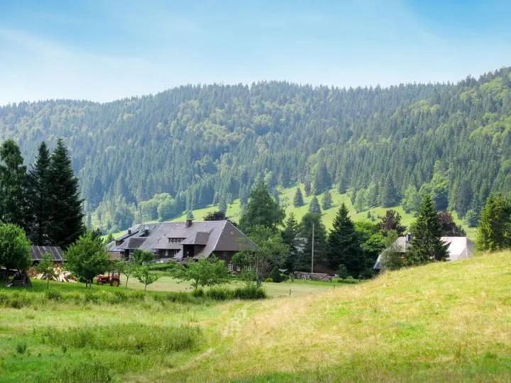 Apartment Schwinbachblick Mit 2 Balkonen St. Blasien Exteriér fotografie