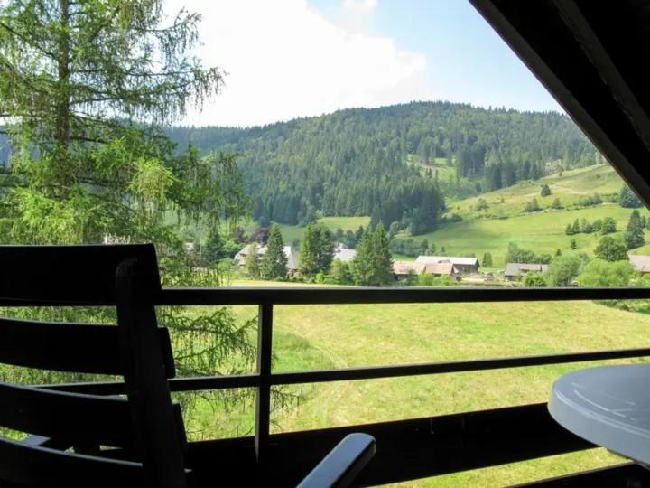 Apartment Schwinbachblick Mit 2 Balkonen St. Blasien Exteriér fotografie