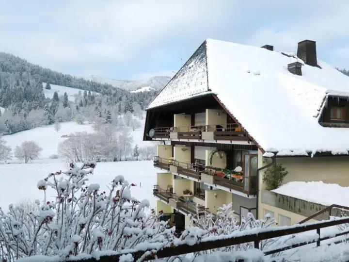 Apartment Schwinbachblick Mit 2 Balkonen St. Blasien Exteriér fotografie