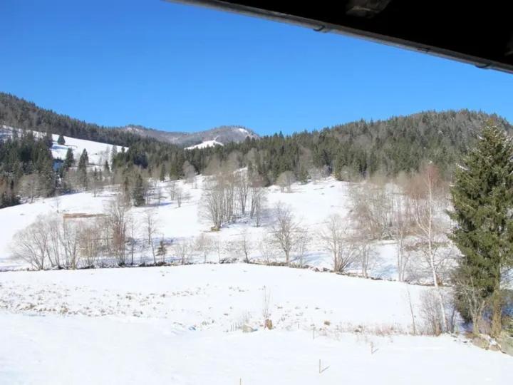 Apartment Schwinbachblick Mit 2 Balkonen St. Blasien Exteriér fotografie