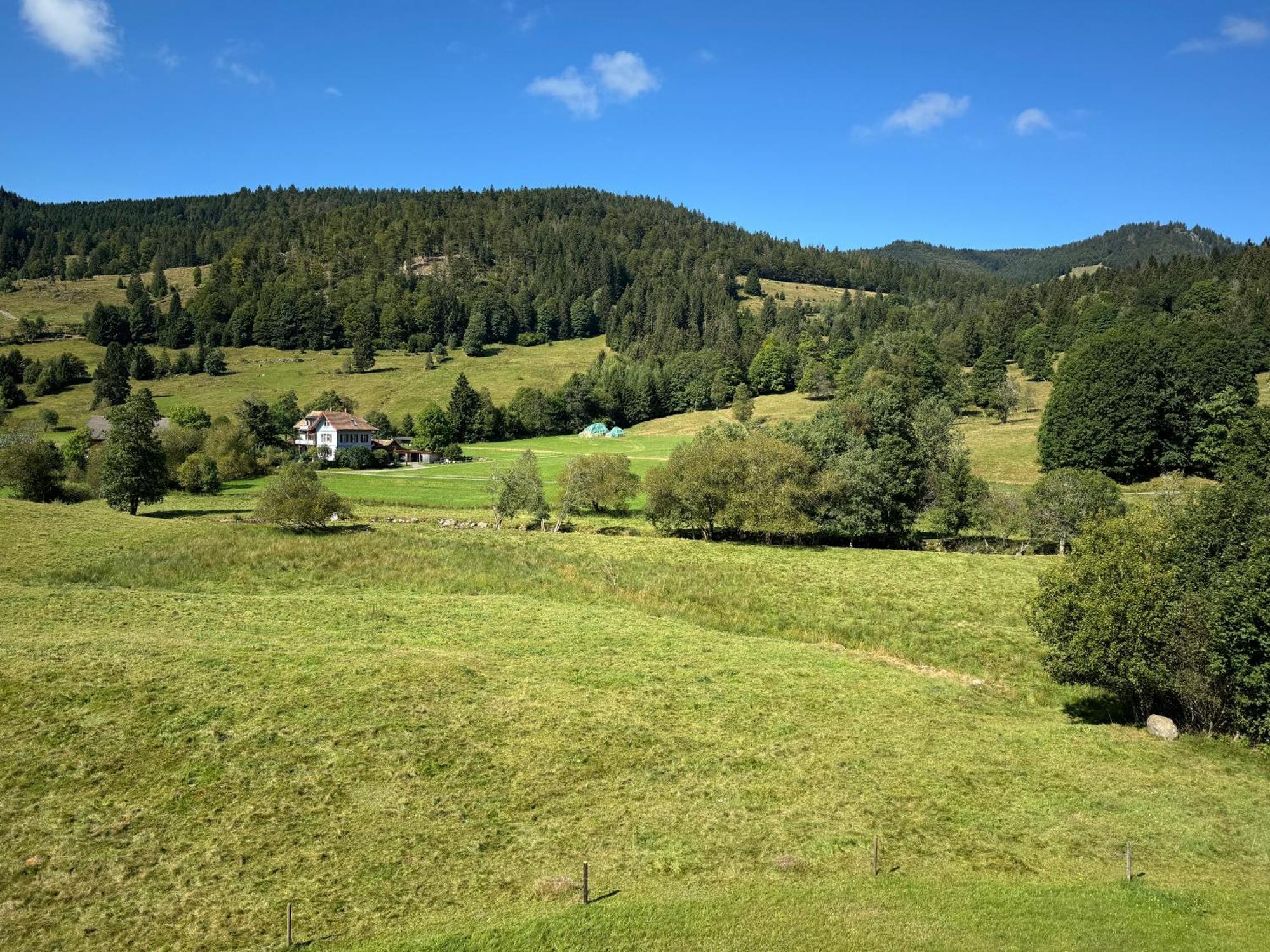 Apartment Schwinbachblick Mit 2 Balkonen St. Blasien Exteriér fotografie